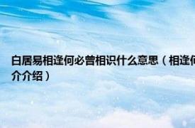 白居易相逢何必曾相识什么意思（相逢何必曾相识 白居易诗《琵琶行》句子相关内容简介介绍）