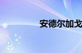 安德尔加戈相关内容介绍