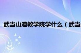 武当山道教学院学什么（武当道教功夫学院相关内容简介介绍）