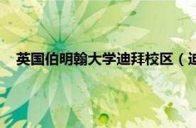 英国伯明翰大学迪拜校区（迪拜英国大学相关内容简介介绍）