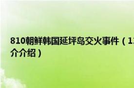 810朝鲜韩国延坪岛交火事件（1123朝鲜韩国延坪岛交火事件相关内容简介介绍）