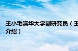 王小毛清华大学副研究员（王小亻毛 清华大学教师相关内容简介介绍）