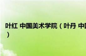 叶红 中国美术学院（叶丹 中国美术学院副教授相关内容简介介绍）