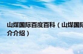 山煤国际百度百科（山煤国际能源集团华南有限公司相关内容简介介绍）