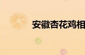 安徽杏花鸡相关内容简介介绍