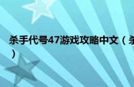 杀手代号47游戏攻略中文（杀手代号47单机版相关内容简介介绍）