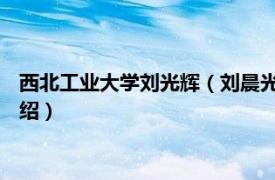 西北工业大学刘光辉（刘晨光 西北工业大学教授相关内容简介介绍）