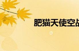 肥猫天使空战相关内容简介