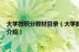 大学微积分教材目录（大学数学系列教材：微积分相关内容简介介绍）