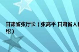 甘肃省张厅长（张高平 甘肃省人民政府研究室原副巡视员相关内容简介介绍）