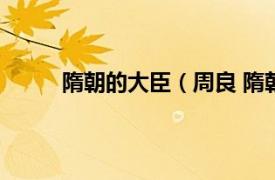 隋朝的大臣（周良 隋朝大臣相关内容简介介绍）