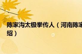 陈家沟太极拳传人（河南陈家沟太极拳功夫学校相关内容简介介绍）