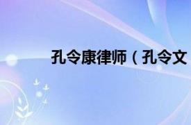 孔令康律师（孔令文 律师相关内容简介介绍）