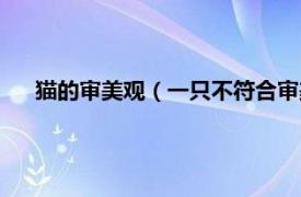 猫的审美观（一只不符合审美标准的猫相关内容简介介绍）