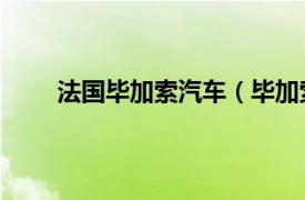 法国毕加索汽车（毕加索 汽车相关内容简介介绍）