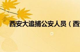 西安大追捕公安人员（西安大追捕相关内容简介介绍）