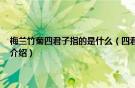 梅兰竹菊四君子指的是什么（四君子 梅、兰、竹、菊的别称相关内容简介介绍）