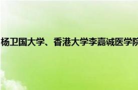 杨卫国大学、香港大学李嘉诚医学院、香港大学临床医学院骨科及创伤学系