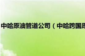 中哈原油管道公司（中哈跨国原油管道计量站相关内容简介介绍）