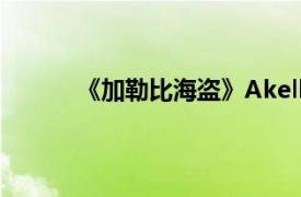 《加勒比海盗》Akella公司单机游戏开发简介