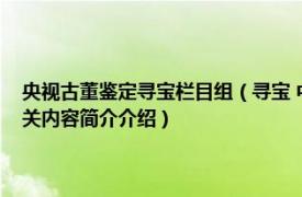 央视古董鉴定寻宝栏目组（寻宝 中央电视台综合频道艺术品收藏类节目相关内容简介介绍）