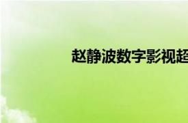 赵静波数字影视超级教师相关内容简介