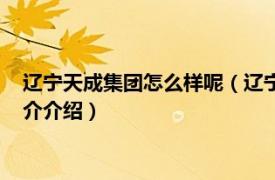 辽宁天成集团怎么样呢（辽宁天成控股集团有限公司相关内容简介介绍）