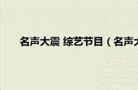 名声大震 综艺节目（名声大震第一季相关内容简介介绍）