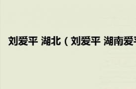 刘爱平 湖北（刘爱平 湖南爱平集团董事长相关内容简介介绍）