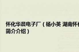 怀化华晨电子厂（杨小英 湖南怀化华晨电子科技有限公司董事长相关内容简介介绍）