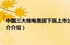 中国三大核电集团下属上市公司（中国三大核电集团相关内容简介介绍）