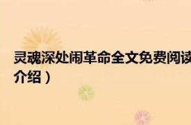 灵魂深处闹革命全文免费阅读（灵魂深处闹革命 中相关内容简介介绍）