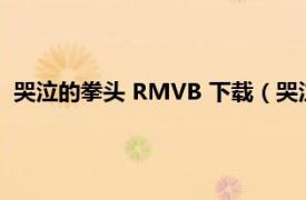 哭泣的拳头 RMVB 下载（哭泣的拳头DVD相关内容简介介绍）