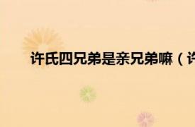 许氏四兄弟是亲兄弟嘛（许氏四兄弟相关内容简介介绍）