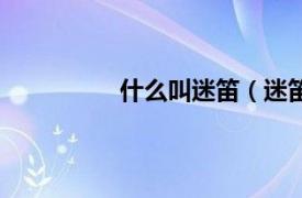 什么叫迷笛（迷笛相关内容简介介绍）