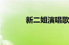 新二姐演唱歌曲相关内容简介