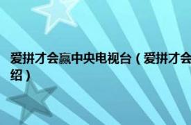 爱拼才会赢中央电视台（爱拼才会赢 CCTV中学生频道节目相关内容简介介绍）