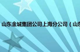 山东金城集团公司上海分公司（山东金城股份有限公司相关内容简介介绍）