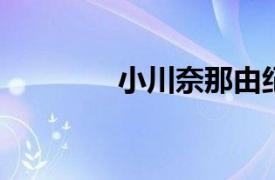 小川奈那由纪相关内容简介