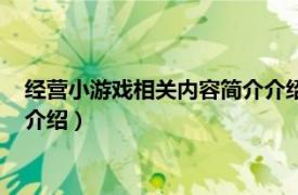 经营小游戏相关内容简介介绍怎么写（经营小游戏相关内容简介介绍）