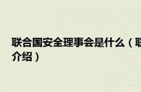 联合国安全理事会是什么（联合国安全理事会改革相关内容简介介绍）