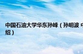 中国石油大学华东孙峰（孙明波 中国石油大学 华东副教授相关内容简介介绍）