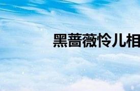 黑蔷薇怜儿相关内容简介介绍