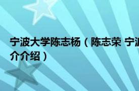 宁波大学陈志杨（陈志荣 宁波工程学院理学院副教授相关内容简介介绍）