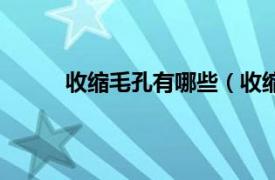 收缩毛孔有哪些（收缩毛孔相关内容简介介绍）