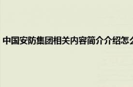 中国安防集团相关内容简介介绍怎么写（中国安防集团相关内容简介介绍）