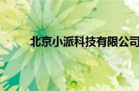 北京小派科技有限公司（E派相关内容简介介绍）