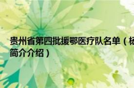 贵州省第四批援鄂医疗队名单（杨玉婷 第四批贵州援鄂抗疫人员相关内容简介介绍）