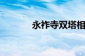 永祚寺双塔相关内容简介介绍