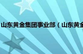 山东黄金集团事业部（山东黄金集团有限公司相关内容简介介绍）